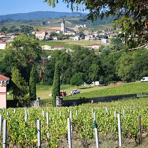 Magnifique à L'intérieur D'un Clos Fleurie